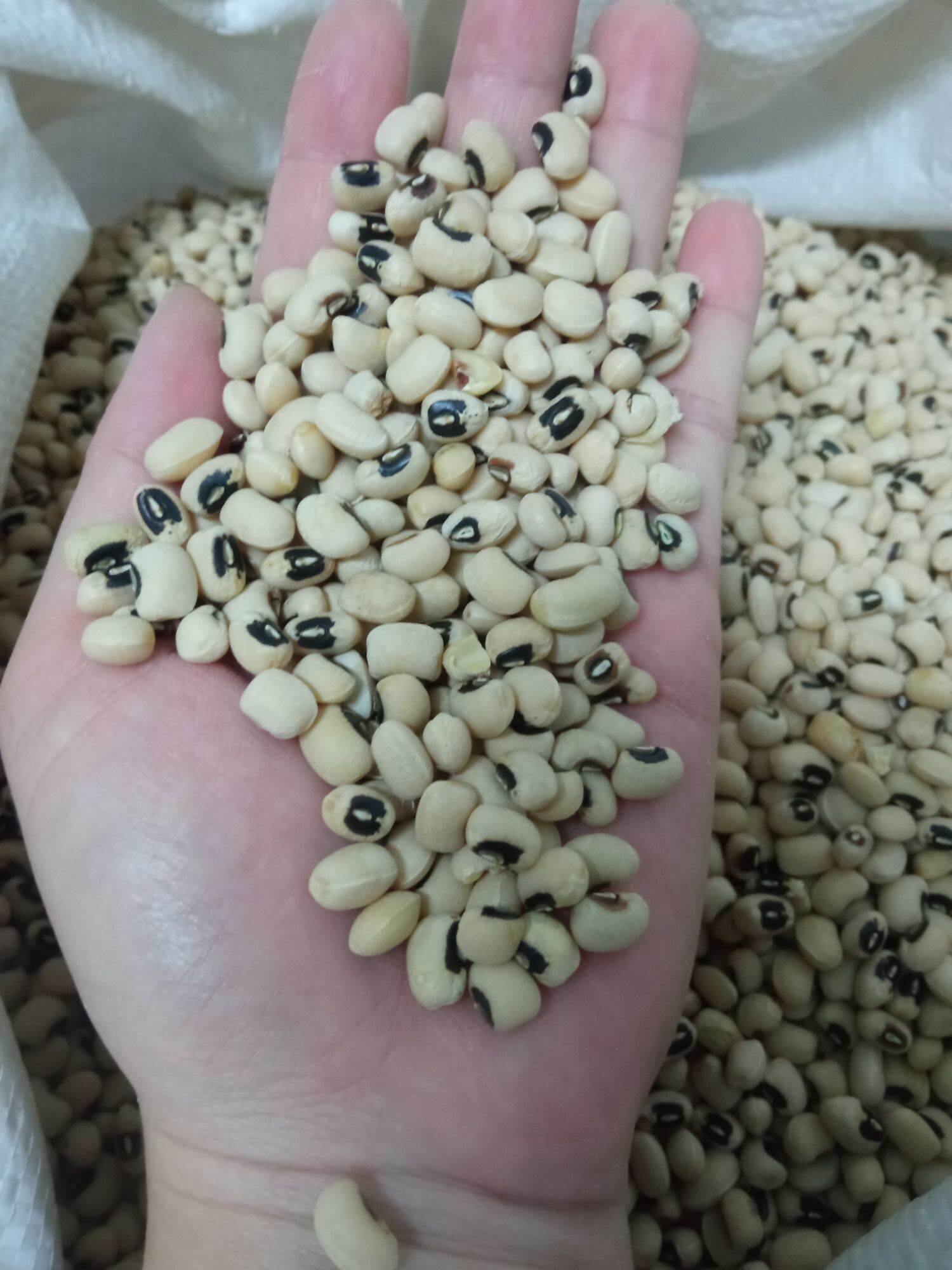 1kg đậu trắng ⭐⭐⭐⭐⭐