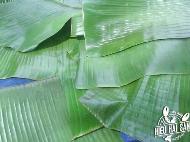 100 Grams of Fresh Banana Leaves for Cake Wrapping