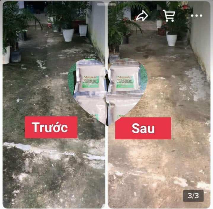 Bột tẩy rong trên nền xi măng