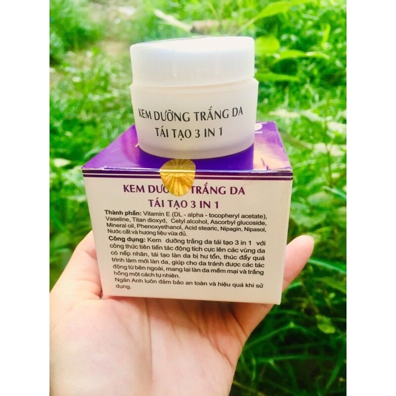 Kem Linh Chi Newtoday trắng da 3in1 hộp 18gram
