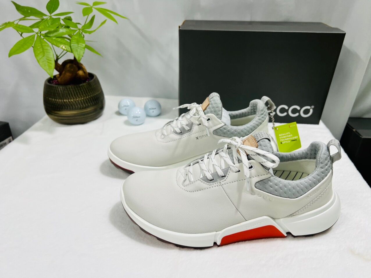 Giày golf nam Ecco thể thao êm chân dây buộc mẫu mới