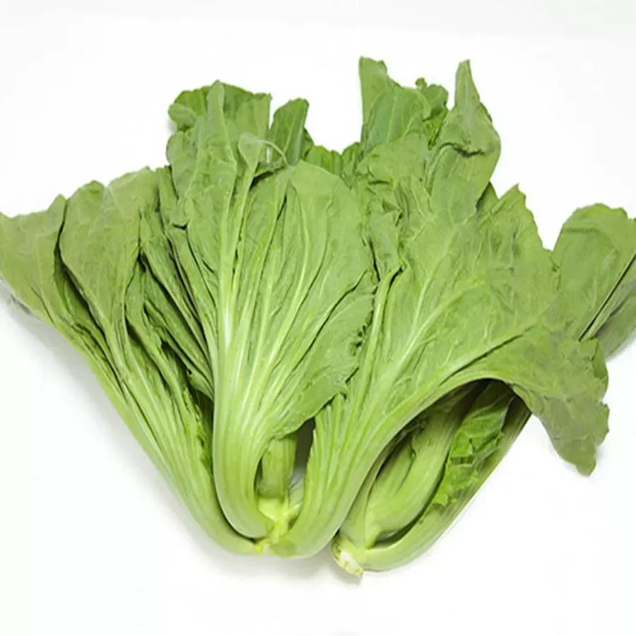 20 gram hạt giống cải bẹ dưa - cải tàu xậy làm dưa cải chua