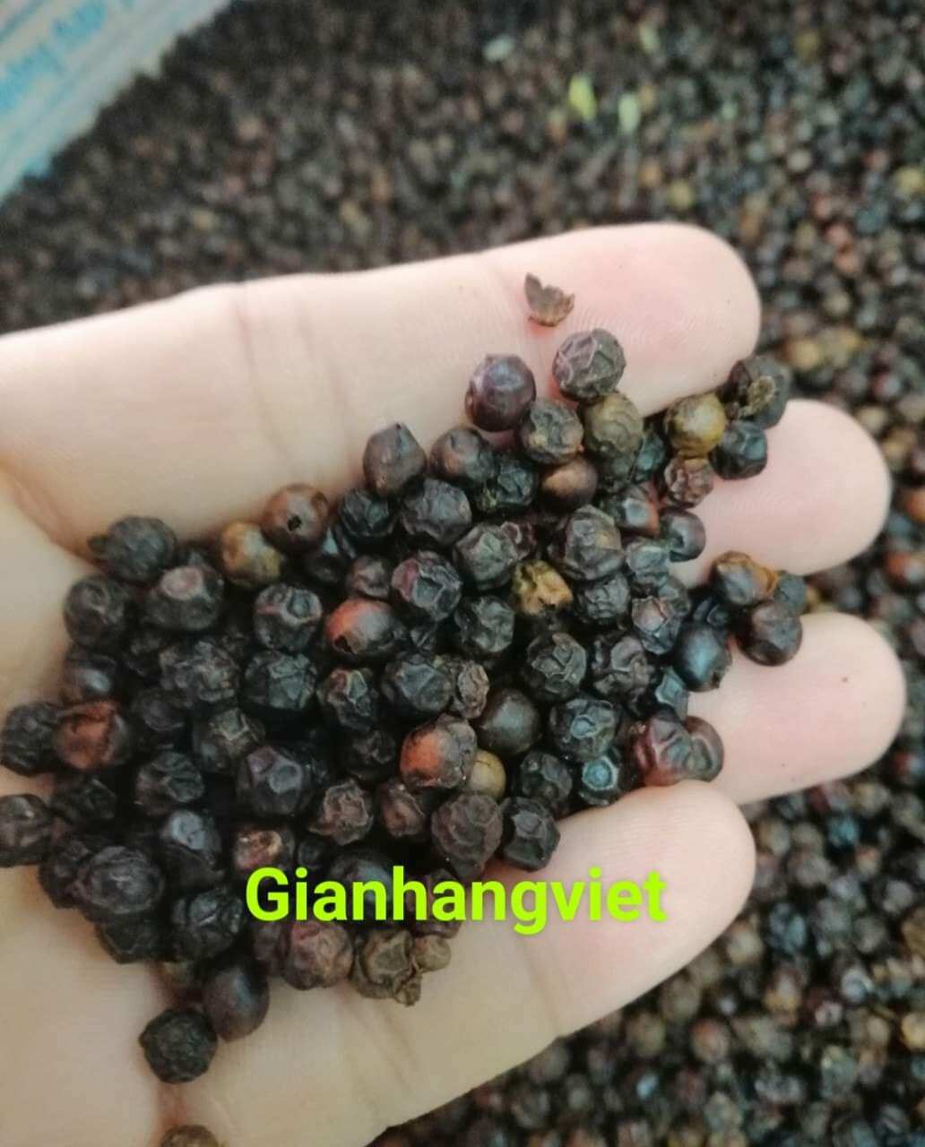 Hạt tiêu đen khô 500gam