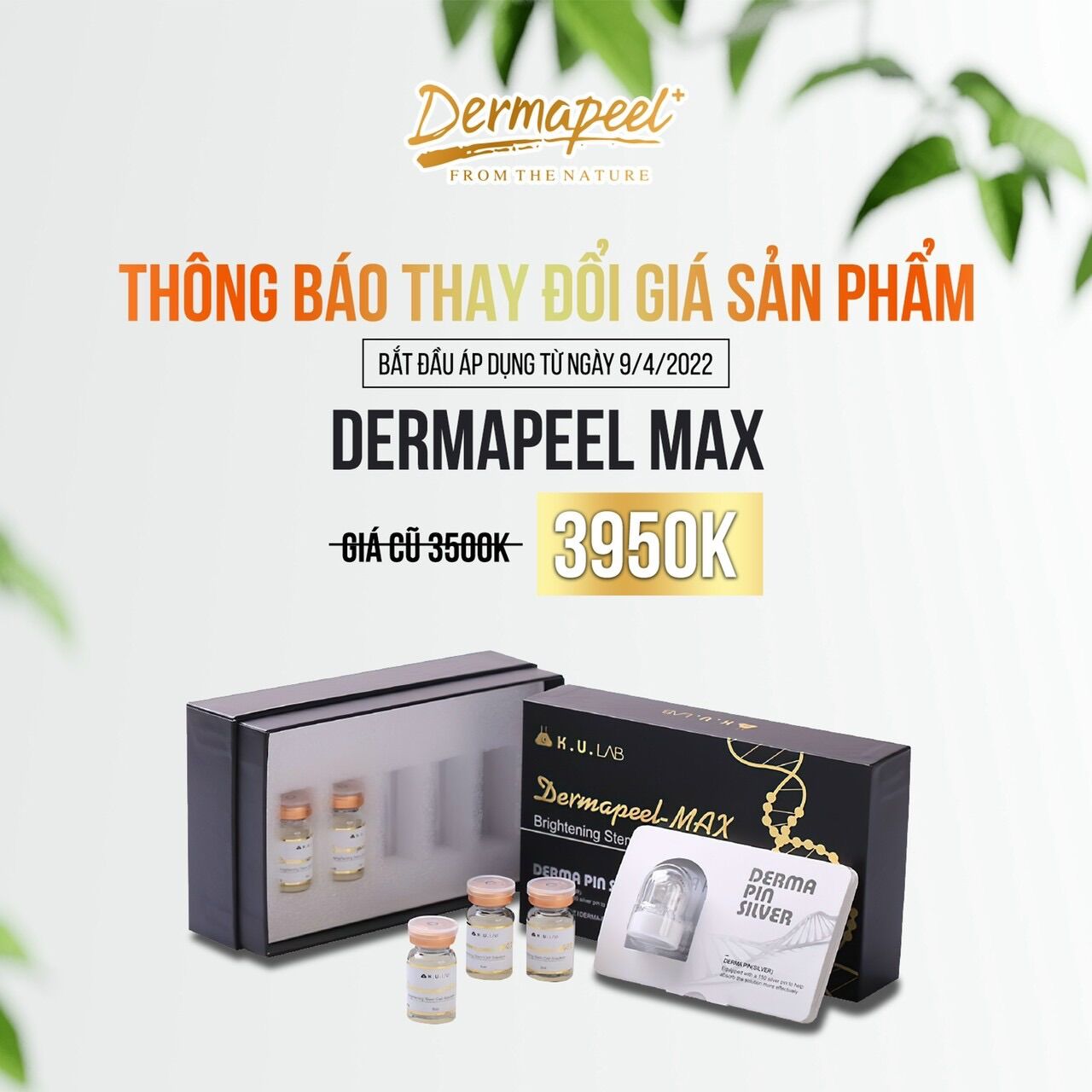Tế Bào Gốc Dermapeel Max - Giải Pháp Cho Da Nám - Tế Bào Gốc Hàn Quốc Cao Cấp Dermapeel