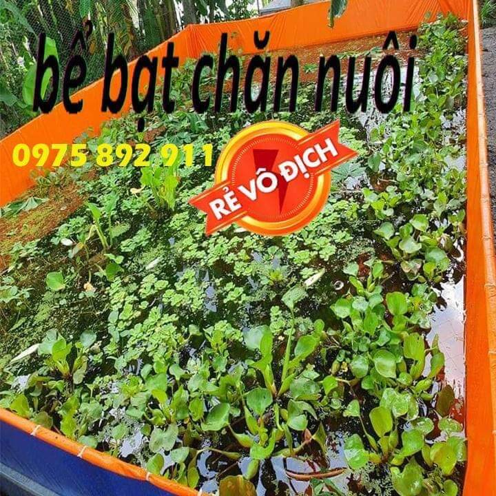 Bể bạt nuôi ốc , ếch , cá - loại 24m2 cao 1m