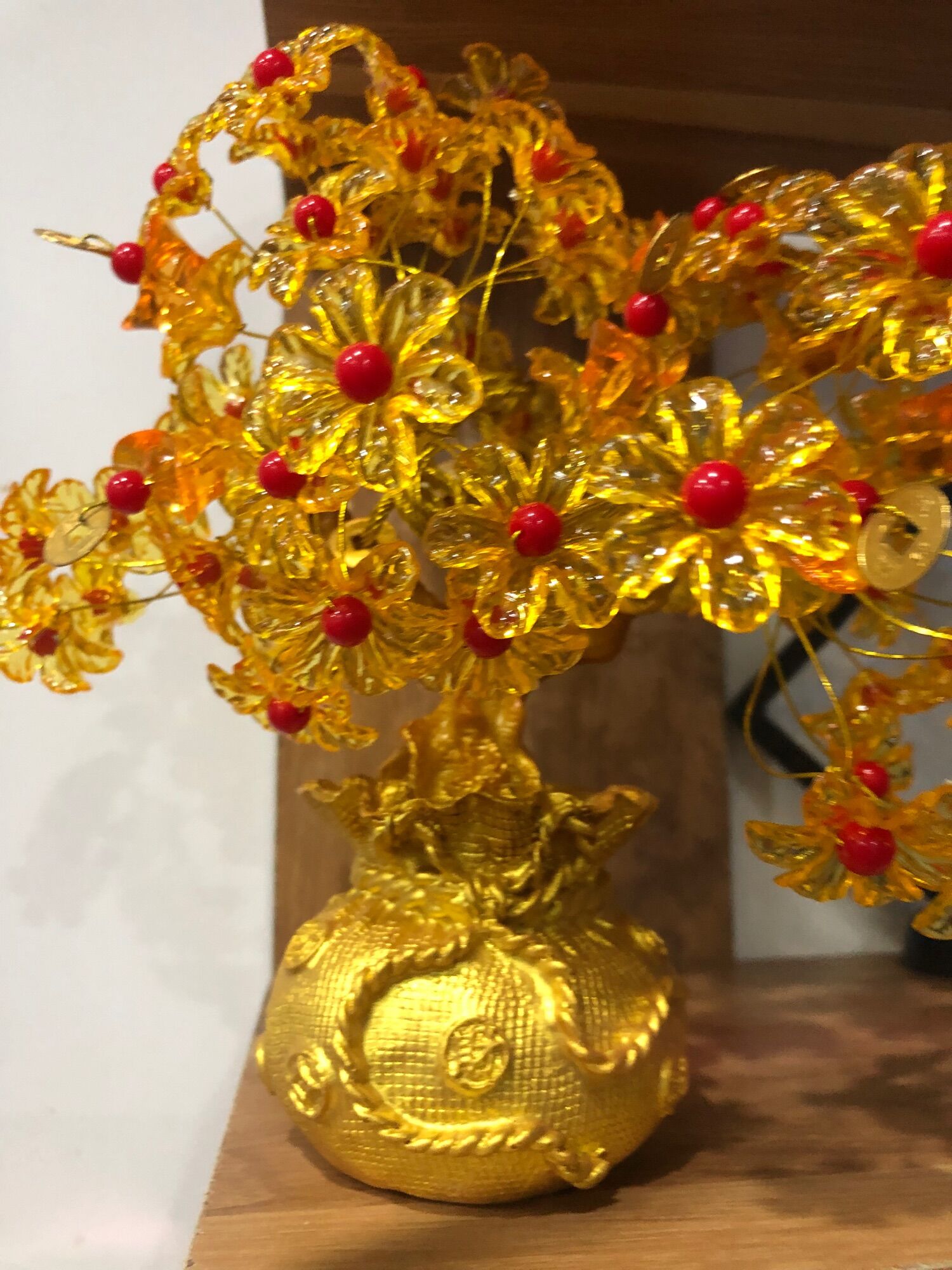 Cây tài lộc