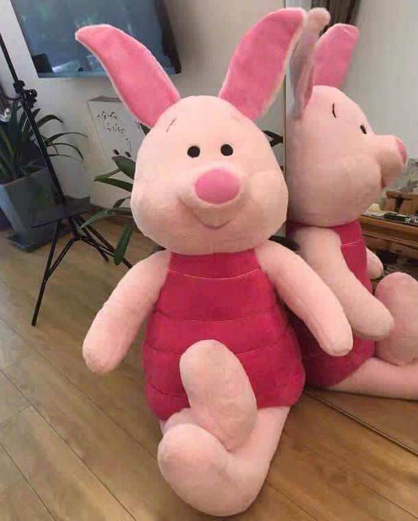 Gấu bông lợn hồng piglet siêu cưng