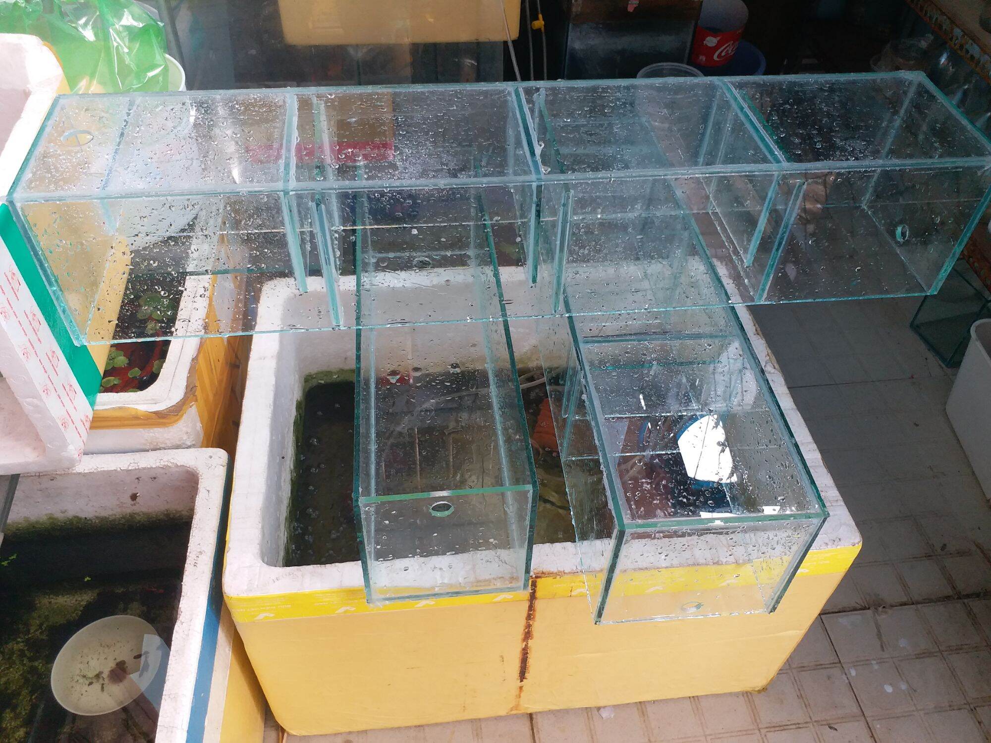 Hộp lọc tràn 60.15.15