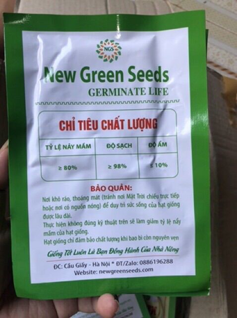 Hạt giống Rau Bạc Hà