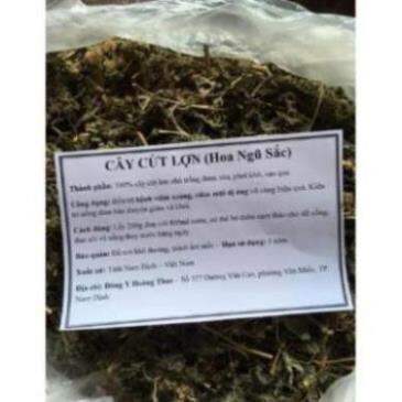 1Kg Cây Hoa Cứt Lợn phơi khô( Ngũ sắc)