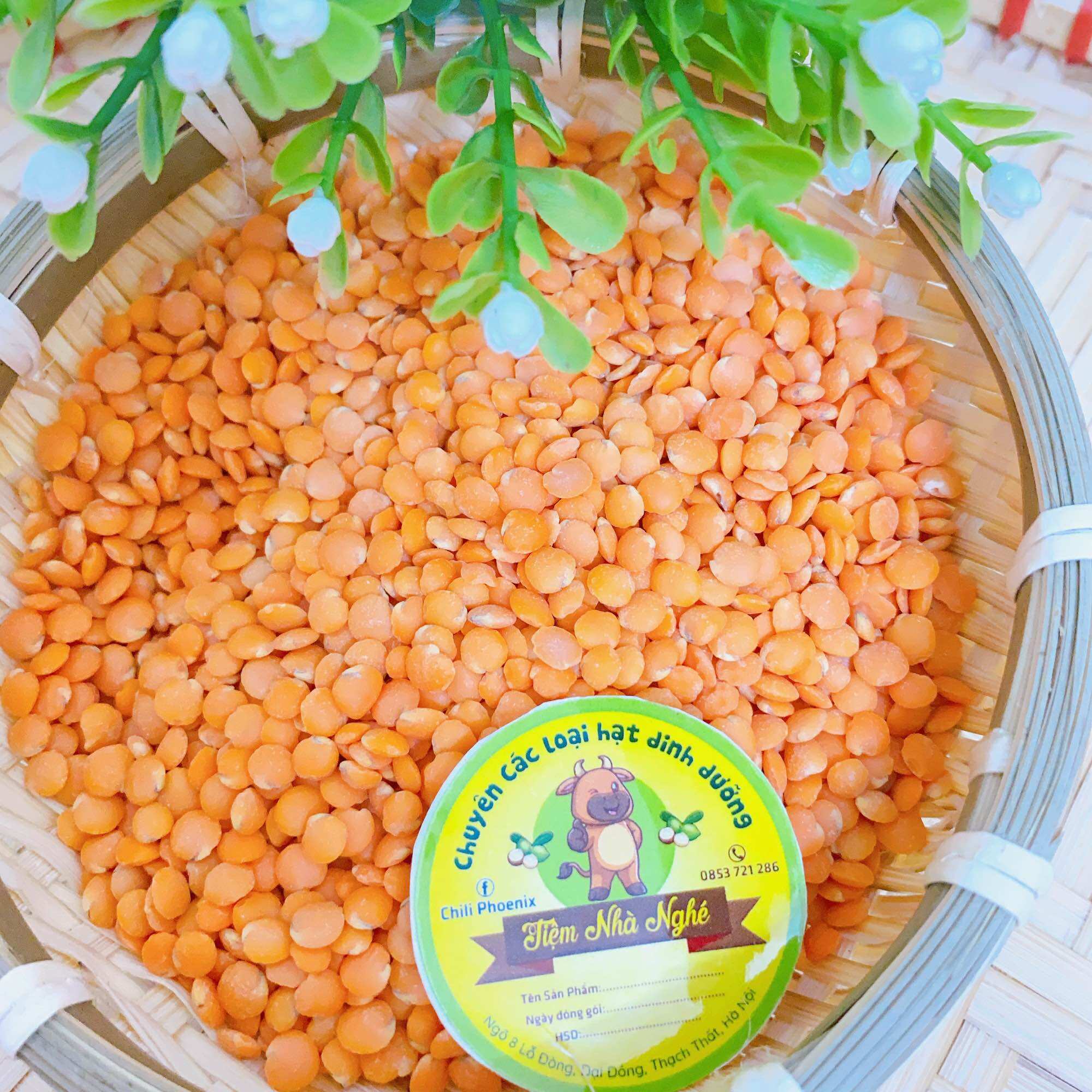 Đậu lăng đỏ hữu cơ nhập khẩu làm sữa hạt, nấu súp
