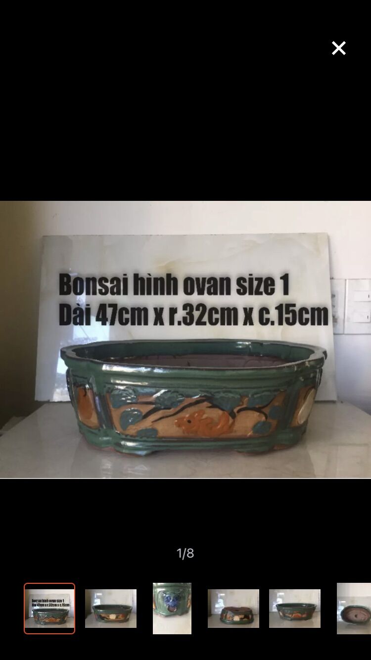 Chậu sứ bonsai cao cấp hình ovan size 1