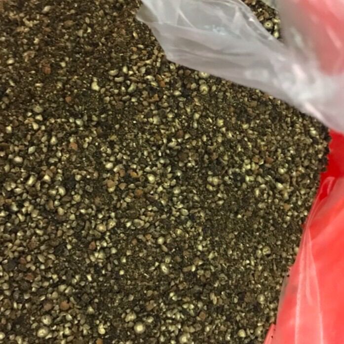 Hạt tiêu đen (1kg) nhà trồng