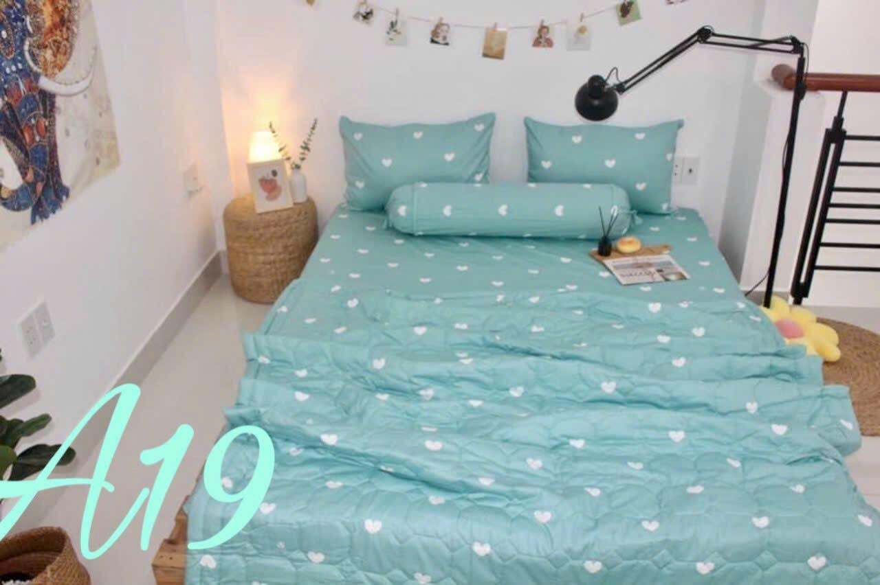 Bộ Drap Cotton Thắng Lợi - Chăn/ Mền - pastel