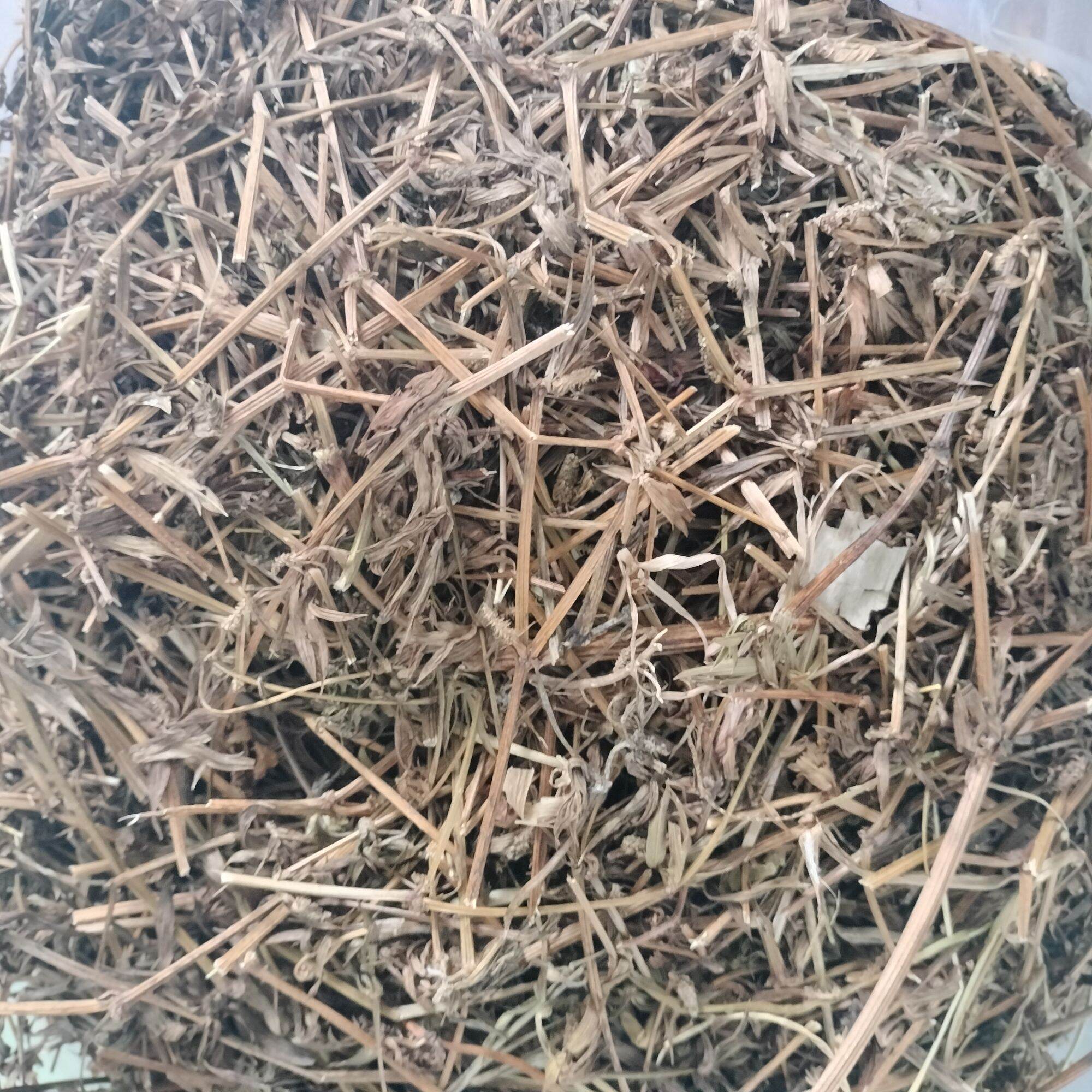 Bông Ngò Gai _ Mùi Tàu 1kg