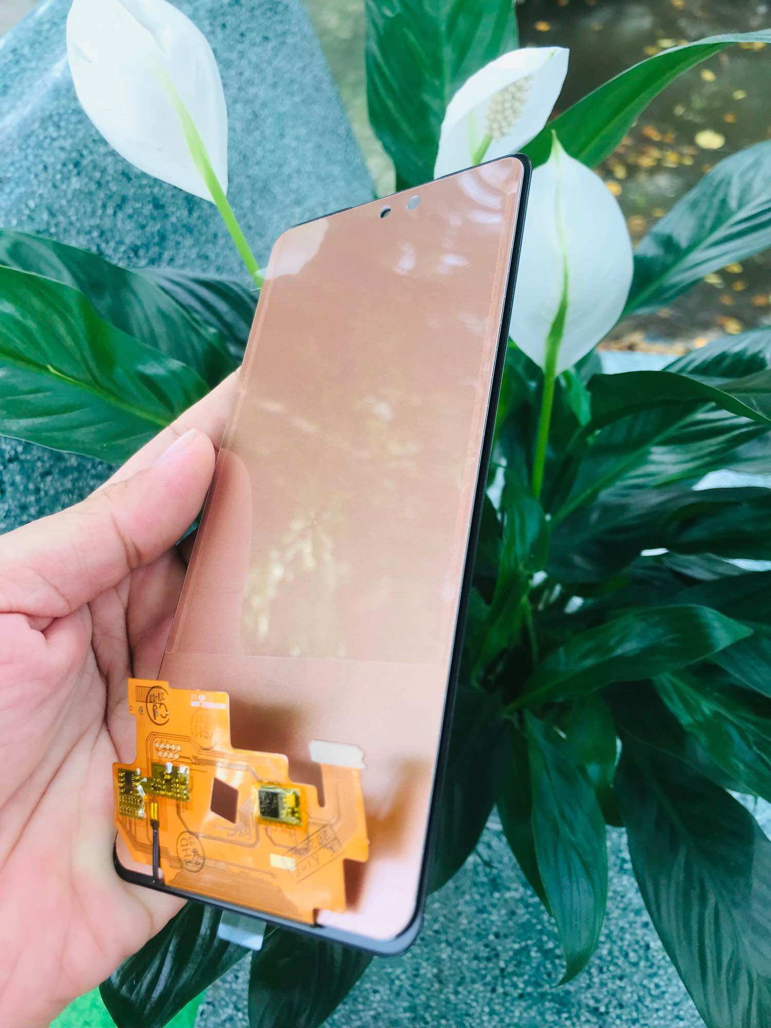 Màn hình Samsung A53 5G công nghệ mới