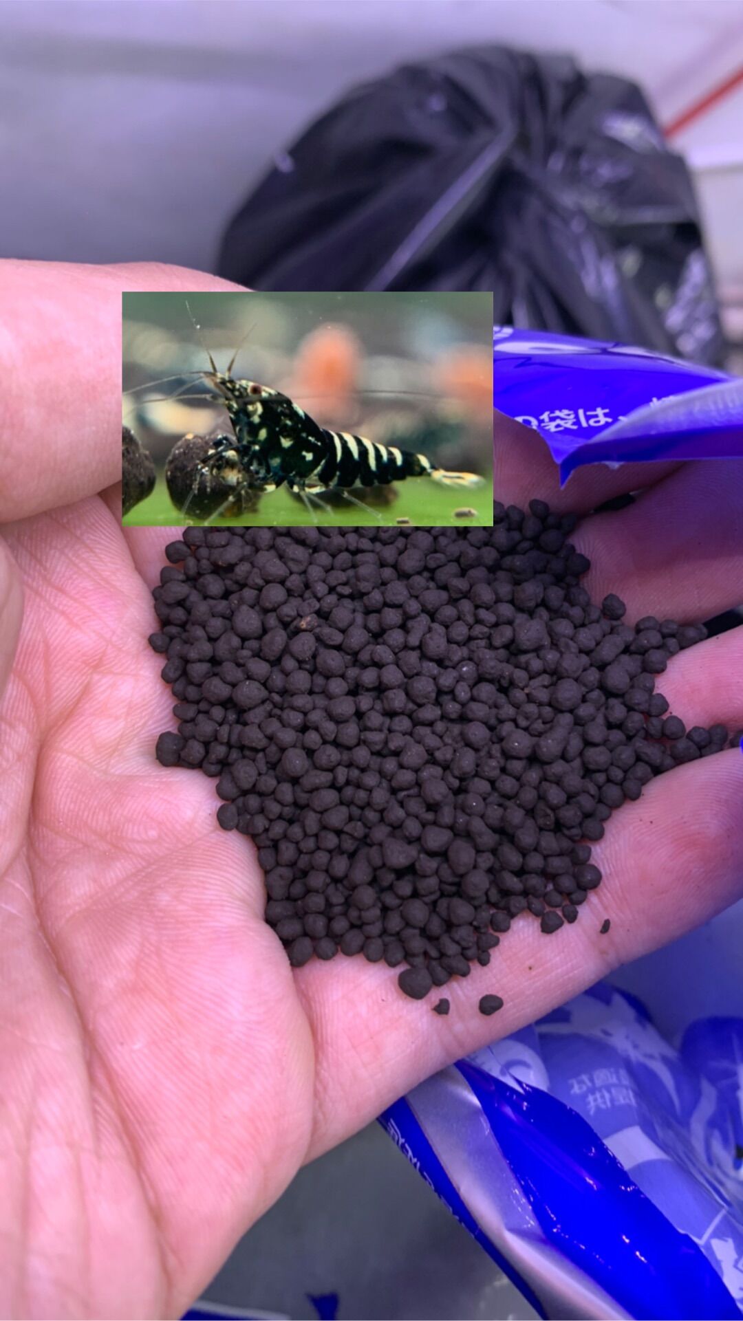 Phân nền control soil chuyên nuôi tép