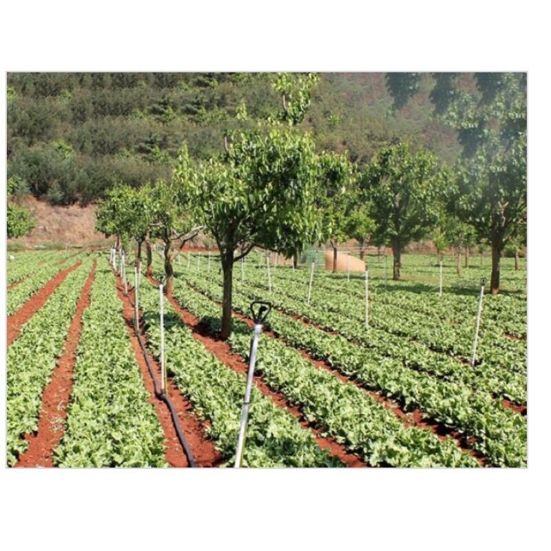Béc phun nước tự động xoay 360 độ