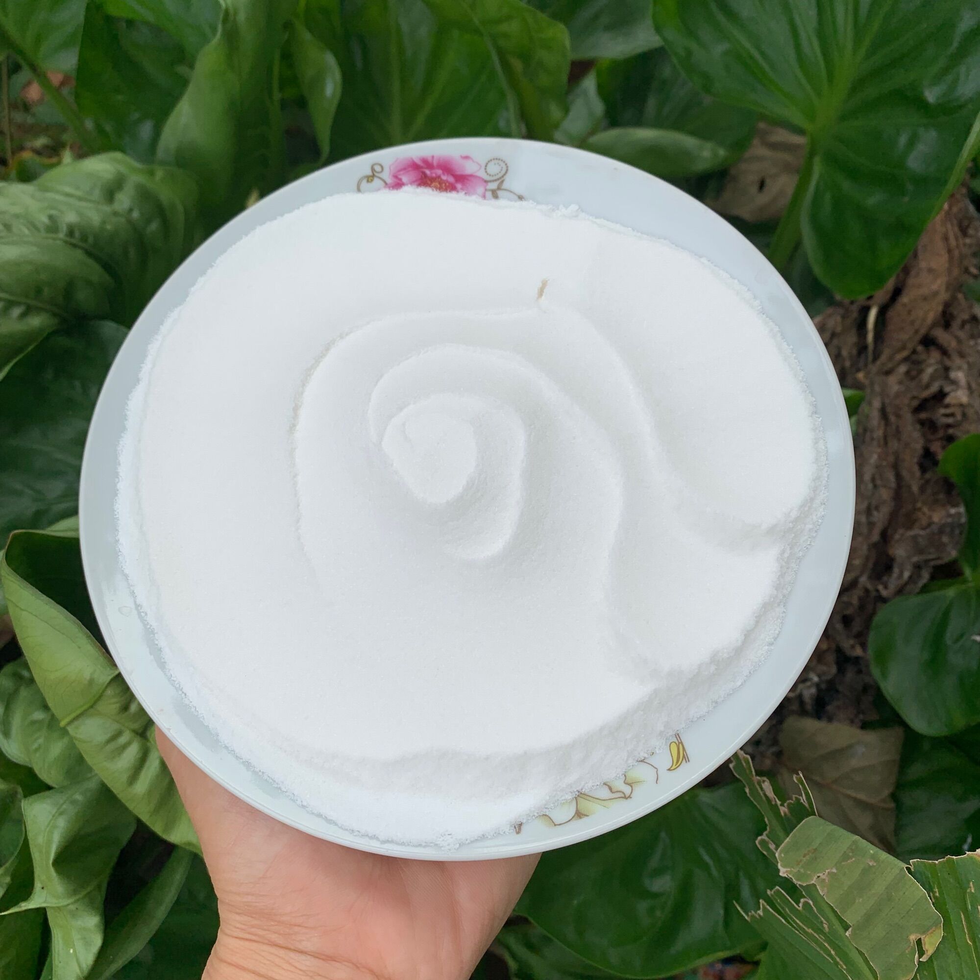 Bột sương sáo Trắng gói 1kg