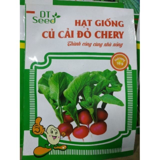 Hạt giống củ dền