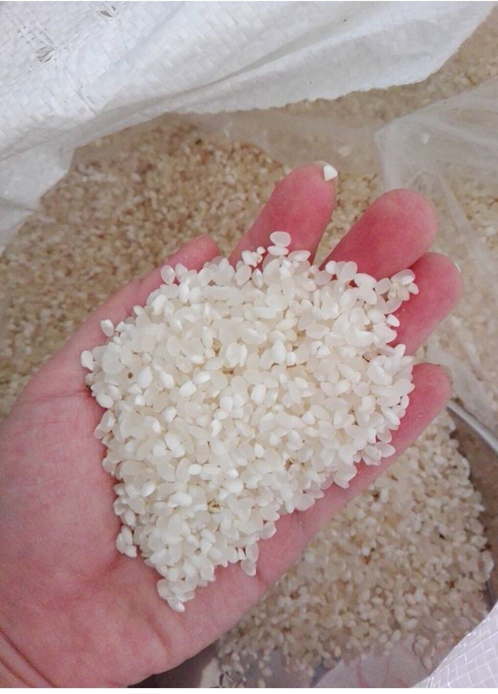 [HCM]Nếp Tú lệ Bảo Minh 1kg