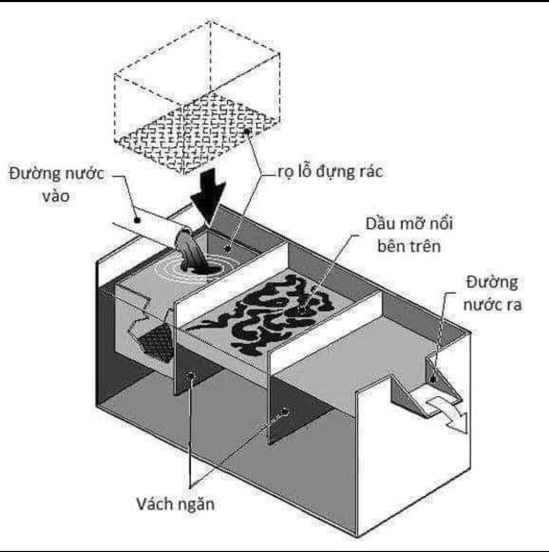 Bể tách mỡ 20l
