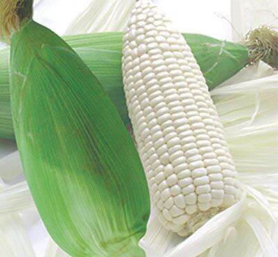 Hạt bắp nếp nù dẻo 50gr