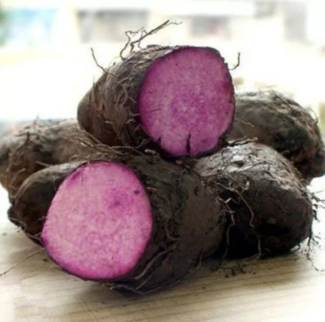 KHOAI MỠ tươi ú nu mới nhổ-1Kg