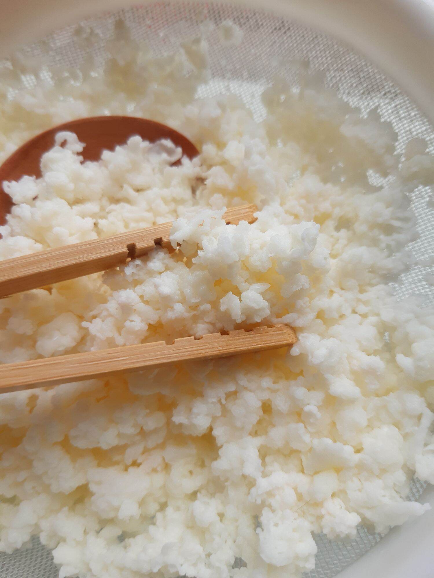 nấm sữa kefir ( nấm làm sữa chua)