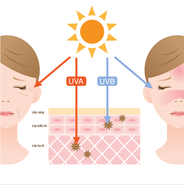 Sữa chống nắng SPF 50 PA++++
