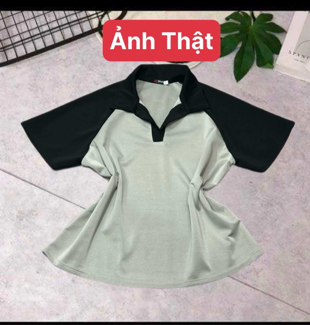 Áo Polo Cổ Bẻ Phối Màu Cá Tính Bigsize Nữ (68-95kg)