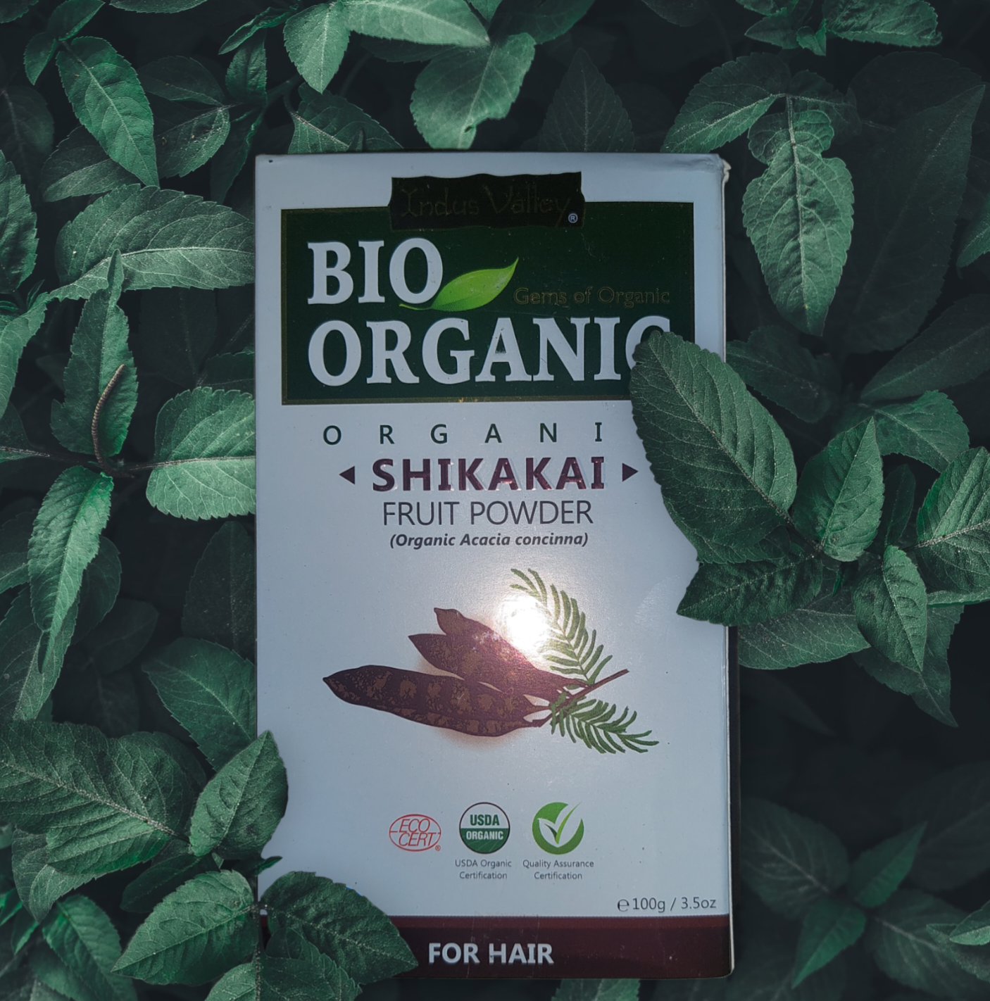Bột bồ kết dưỡng tóc Ấn Độ nguyên chất Bio Organic 250g