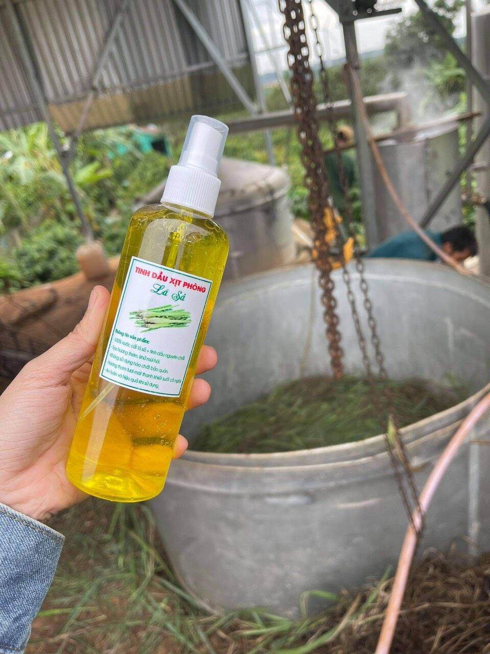 Tinh dầu xịt phòng kháng khuẩn chanh xã