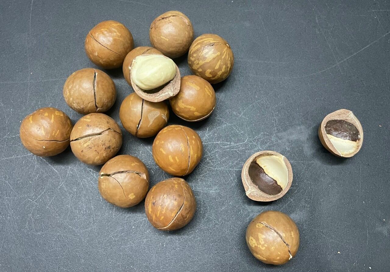Táo sấy dẻo