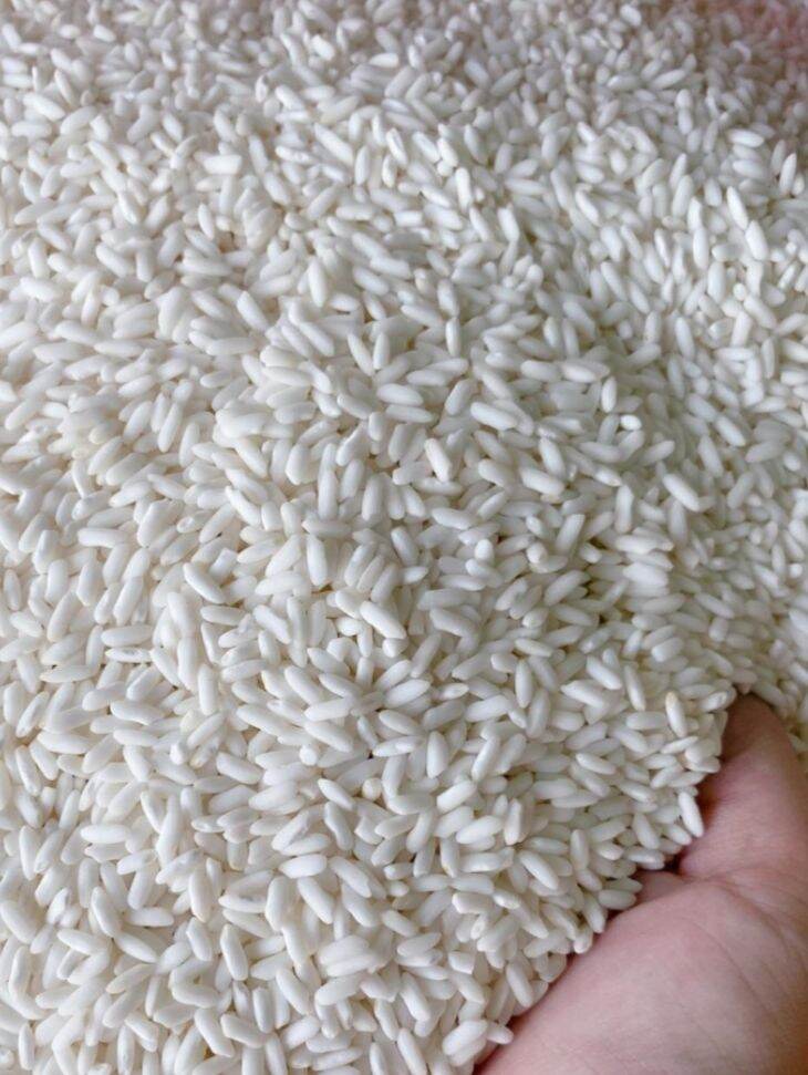 1kg nếp sáp ngỗng dẻo ngon