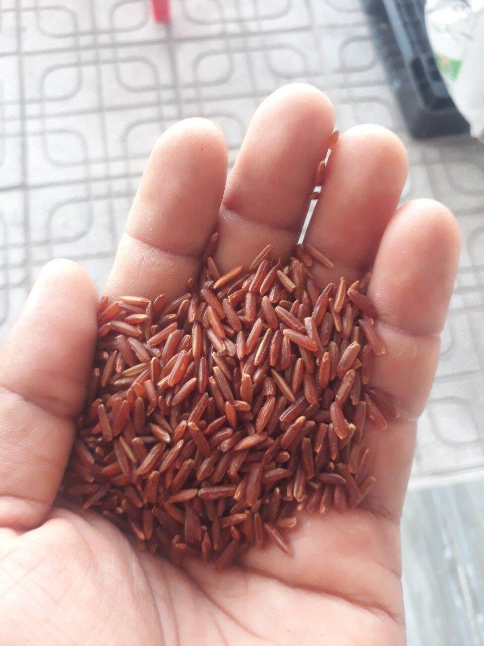 Gạo huyết rồng .1kg
