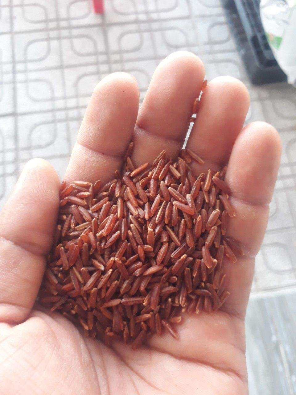 Gạo Huyết Rồng .1kg