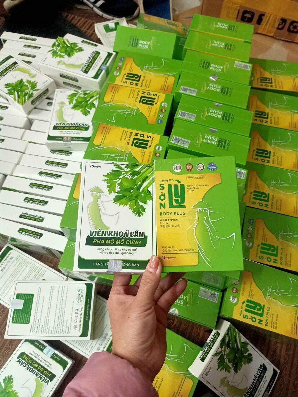 Sờn lỳ Tiến Hạnh