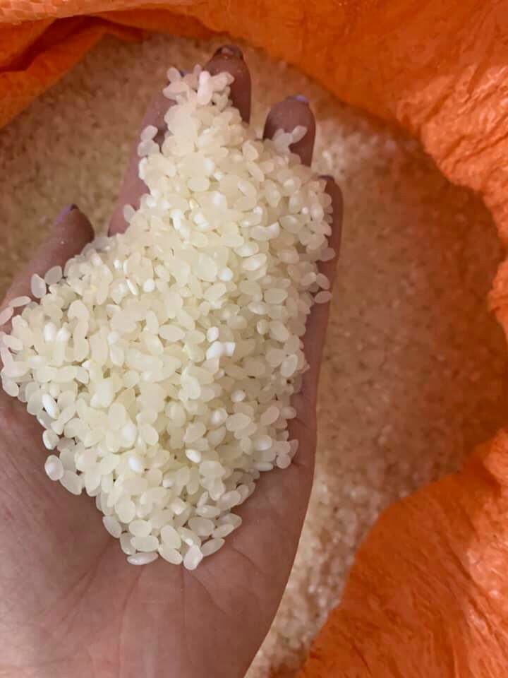 Gạo nếp nương mèo