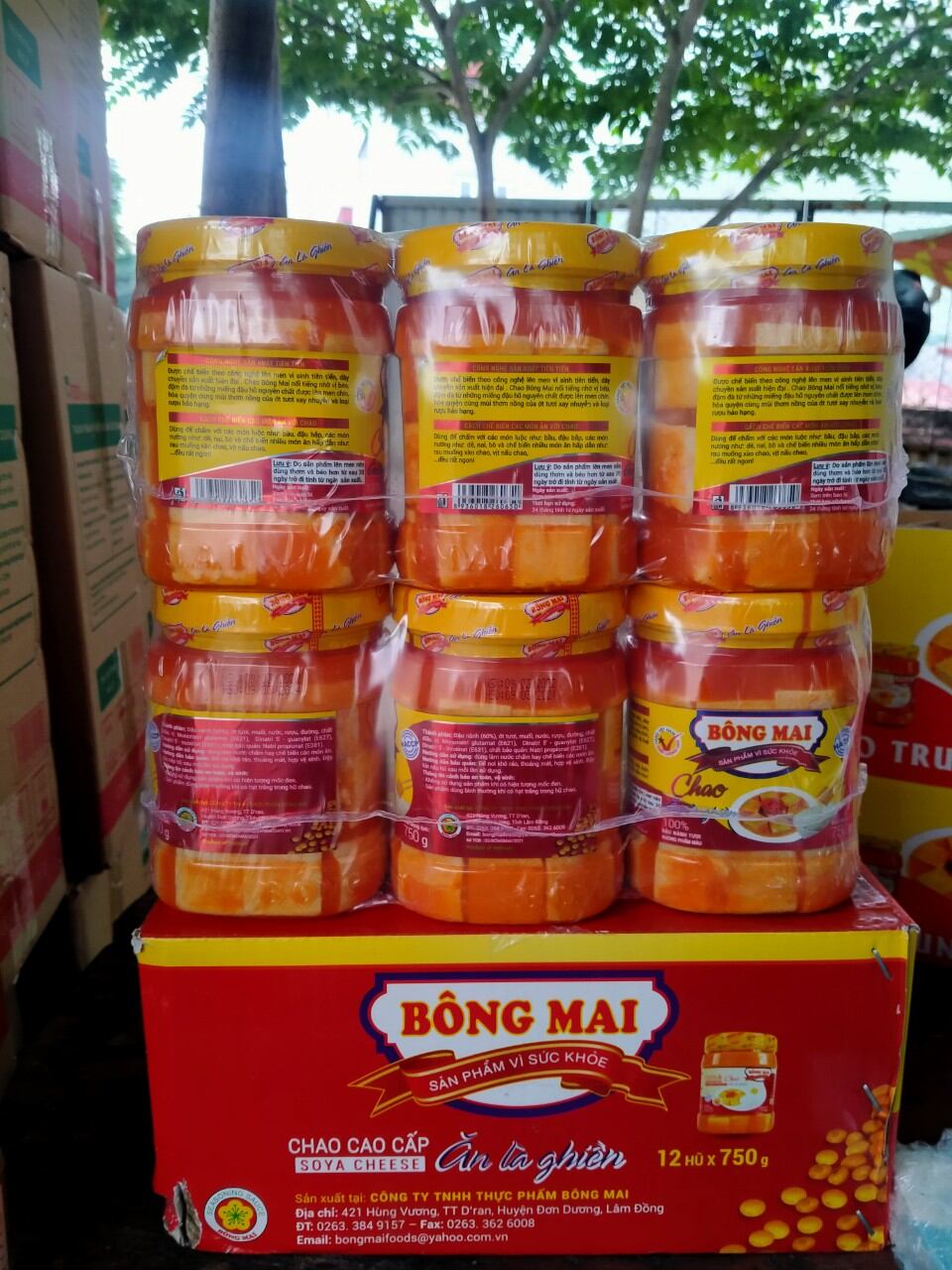 Chao Bông Mai 750g