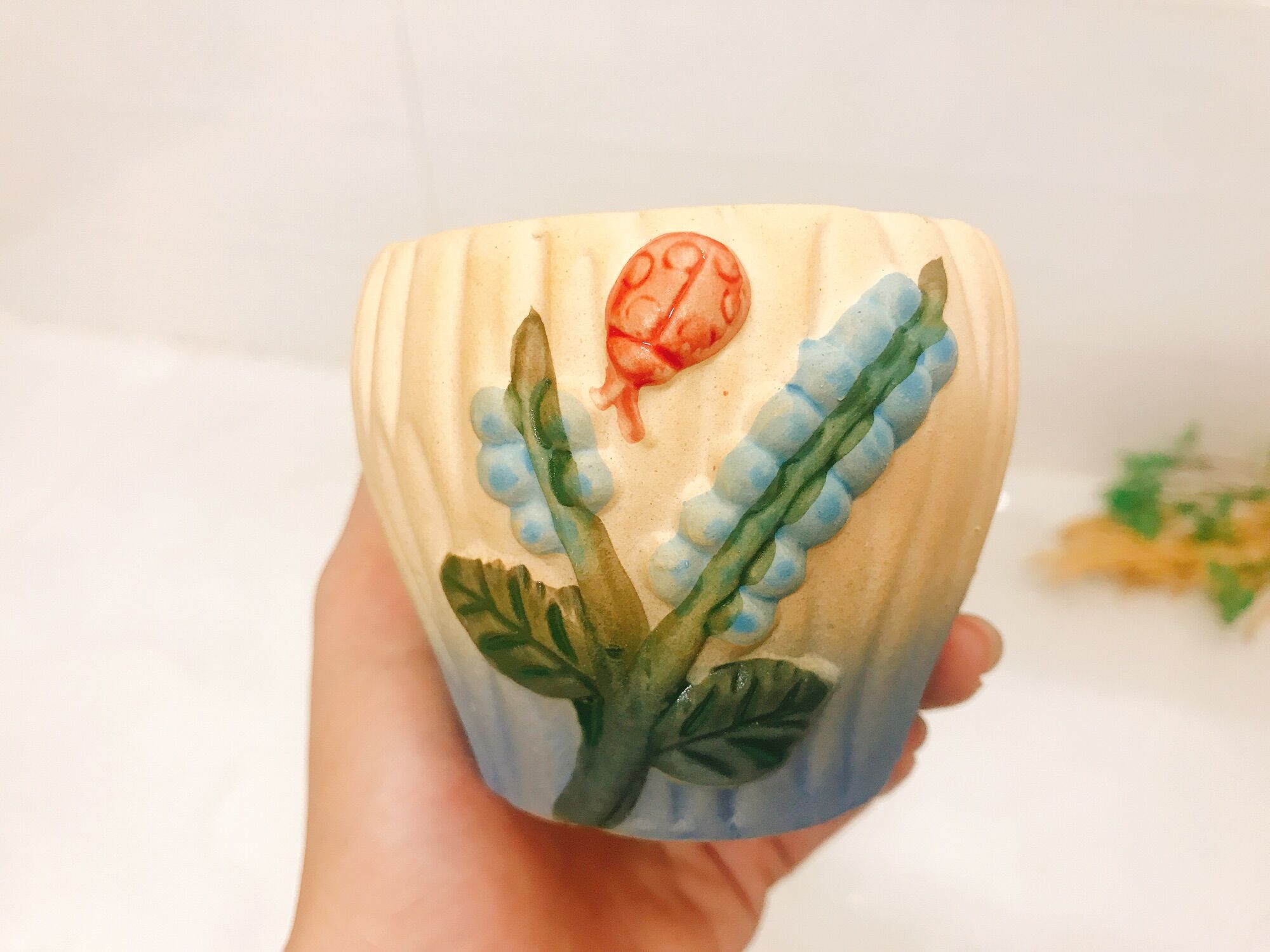 [HCM]Chậu trồng sen đá: bọ đỏ
