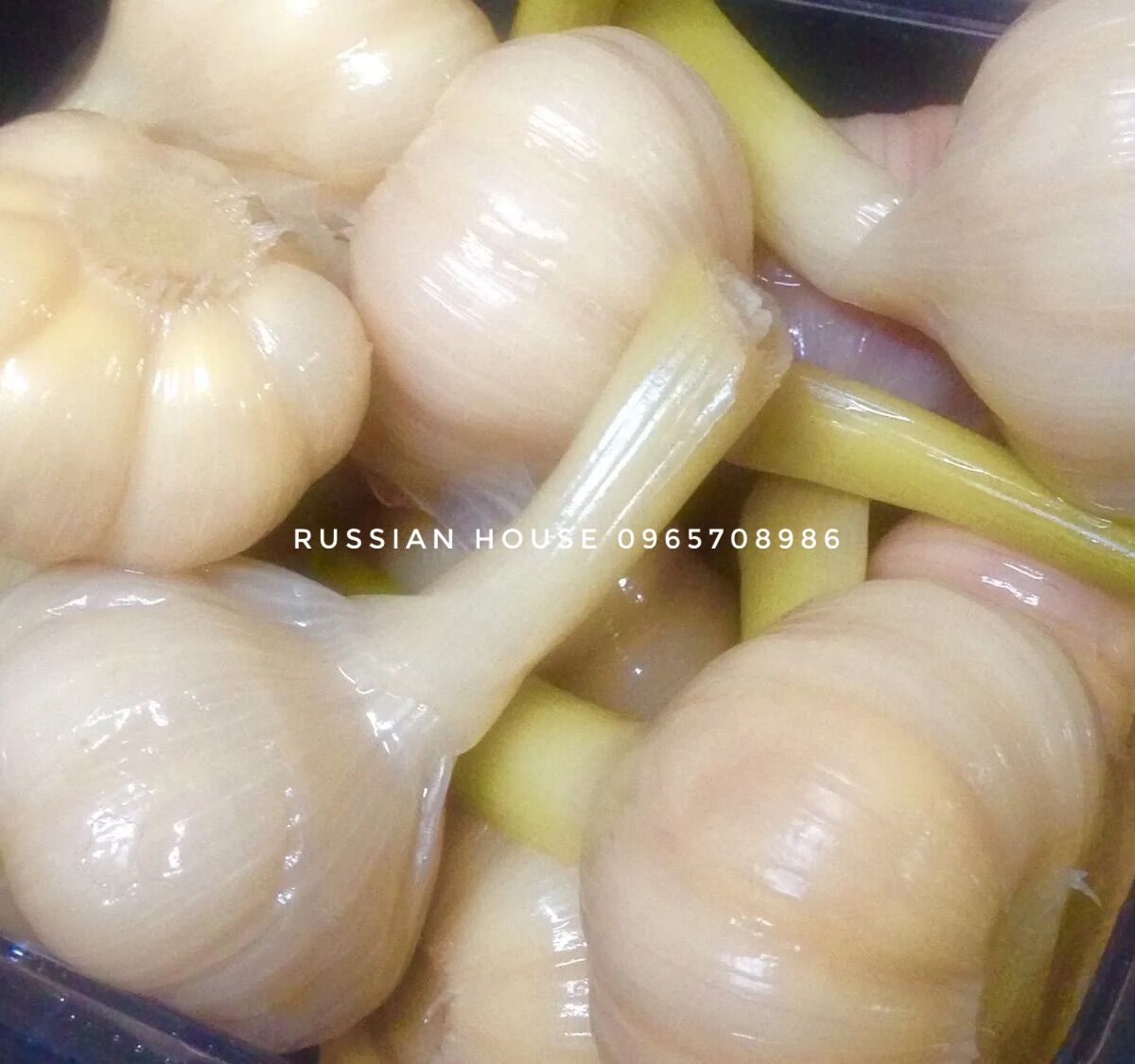 Củ tỏi muối Lukashin của Nga/340g ( hàng bay)