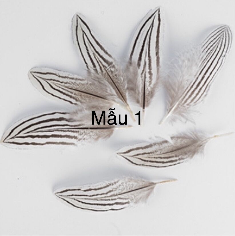 Lông vũ hoa văn tự nhiên, lông vũ làm dreamcatcher