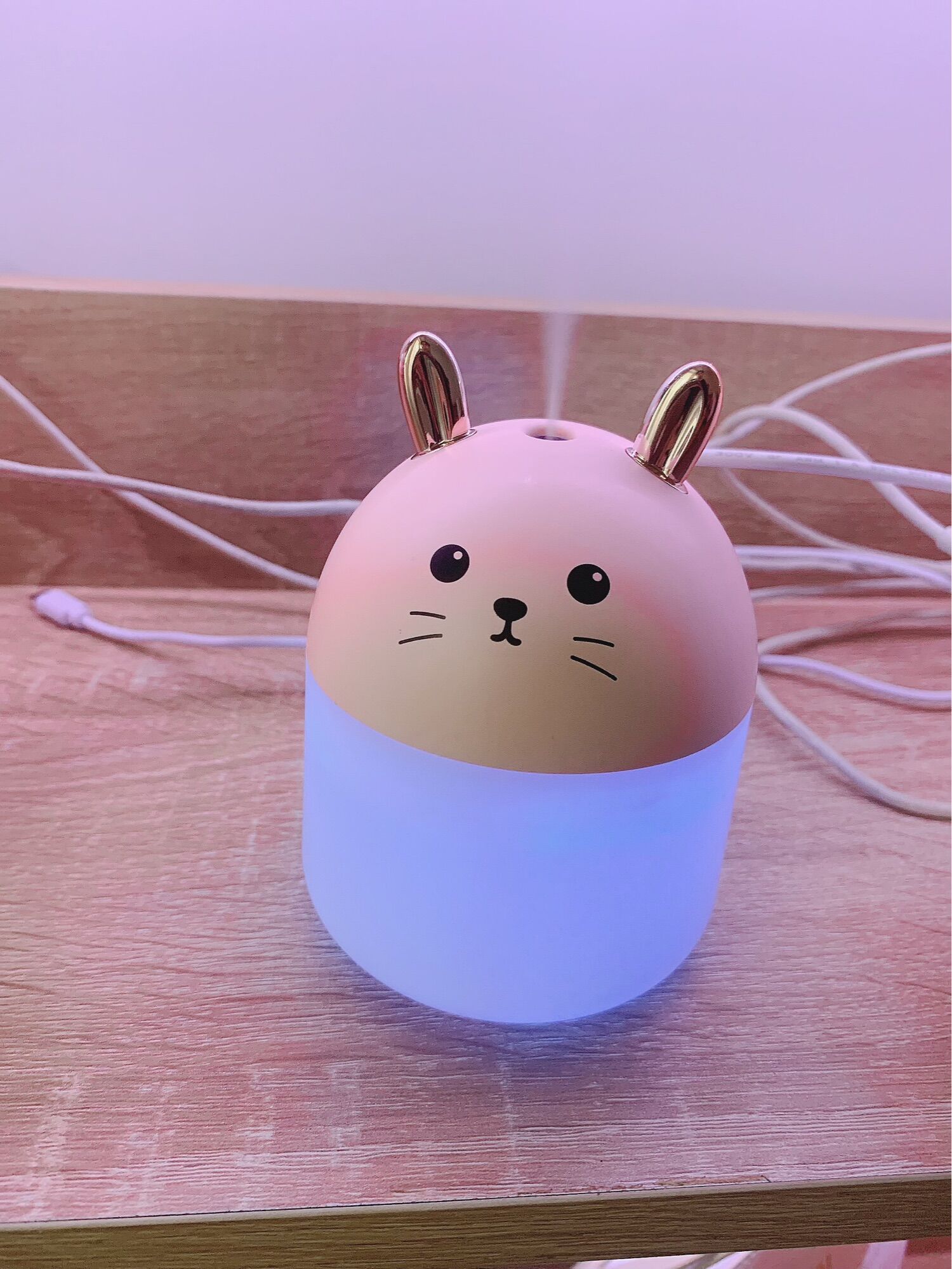 bình phung sương tinh dầu, chuột cute