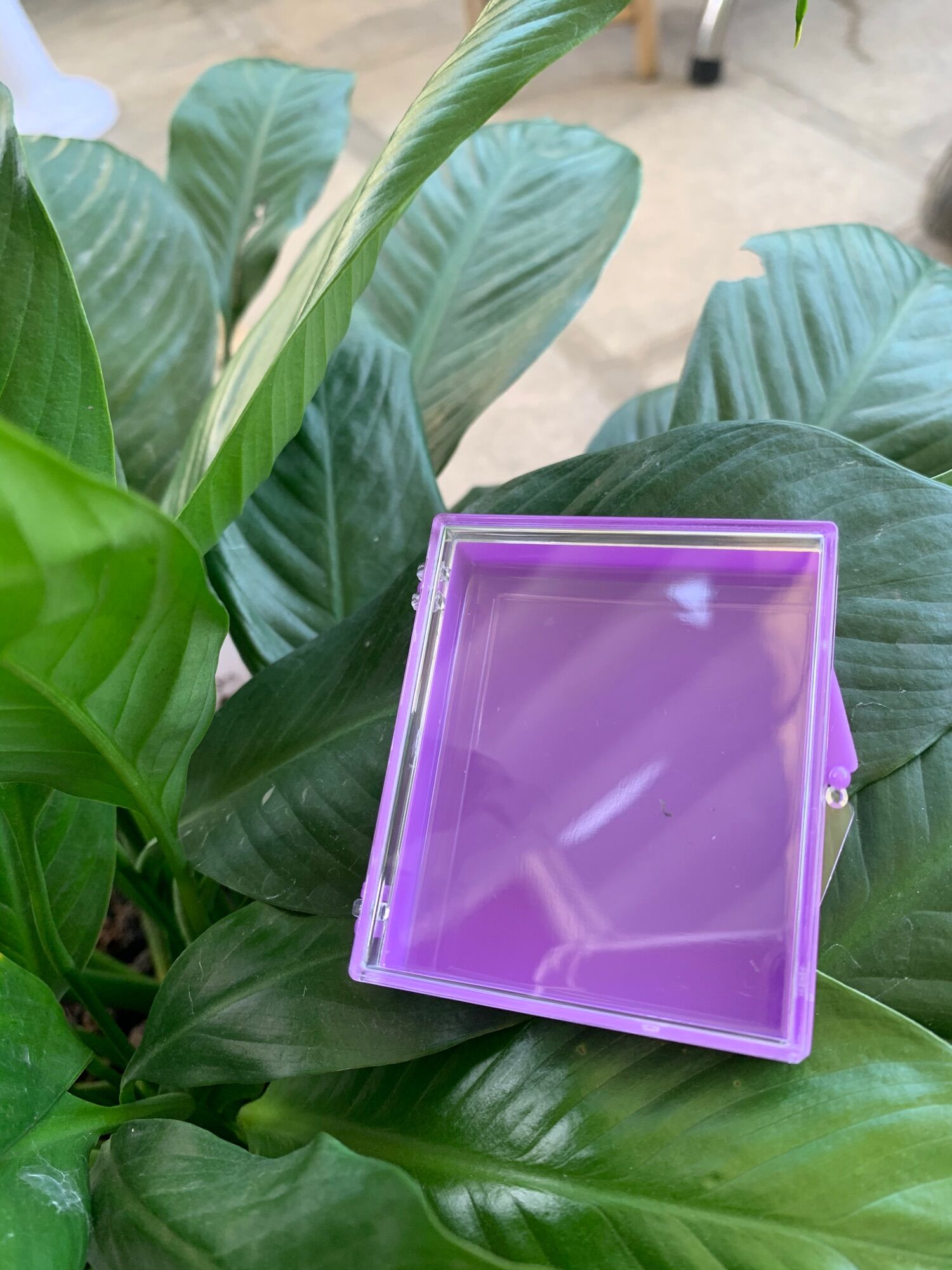 Hộp vuông màu tím 65x55x16mm úp móng nail và đựng mi fans