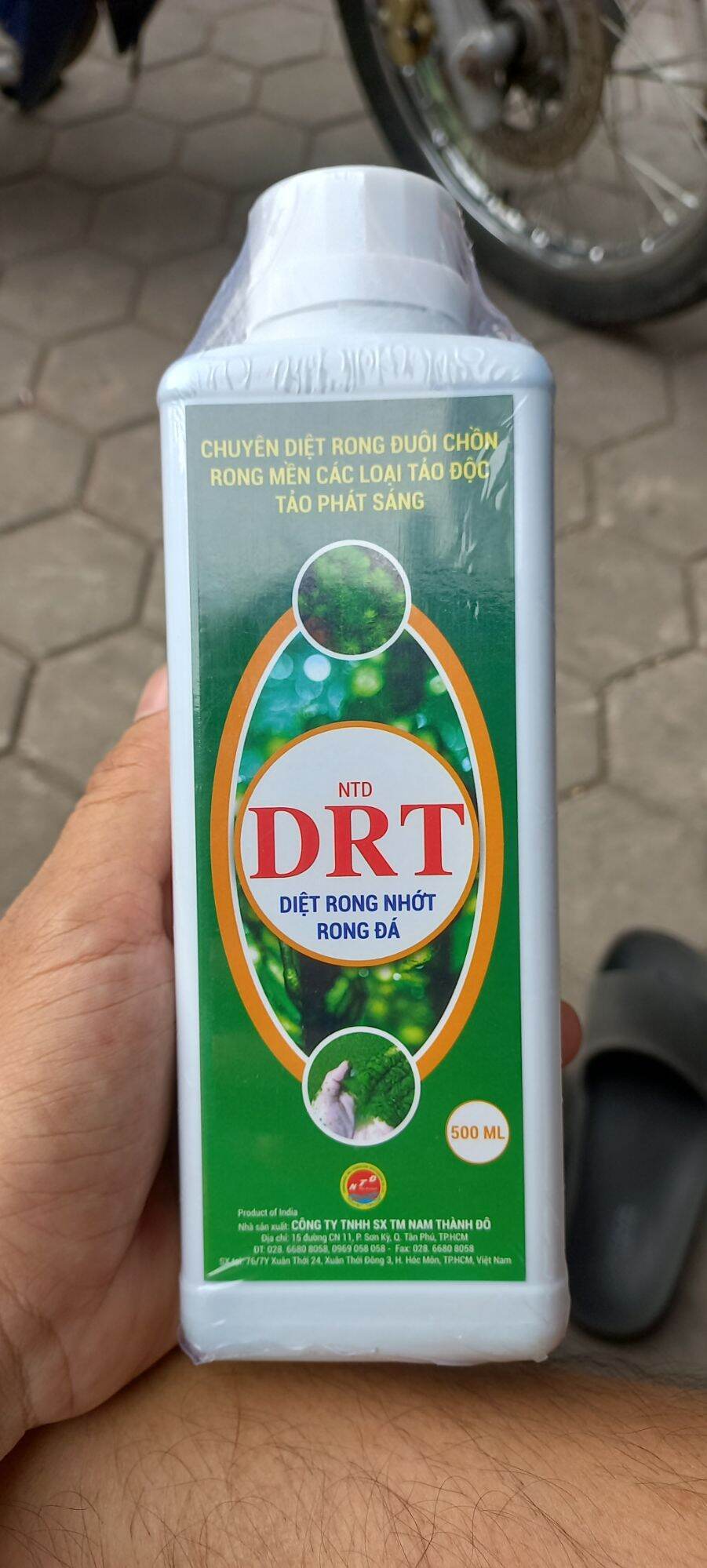 Drt vuông tôm rong duôi chồn, rong mền, rong nhớt, rong đá. 500ml