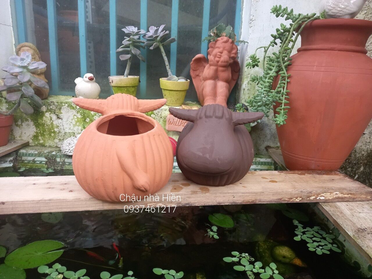 Chậu đất nung Bình Dương hình trâu bí m7x c13