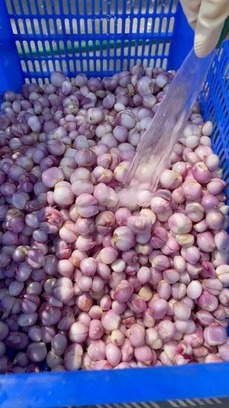 túi 500g hành tím phi _ hành kinh môn- hành phi sẵn thơm giòn