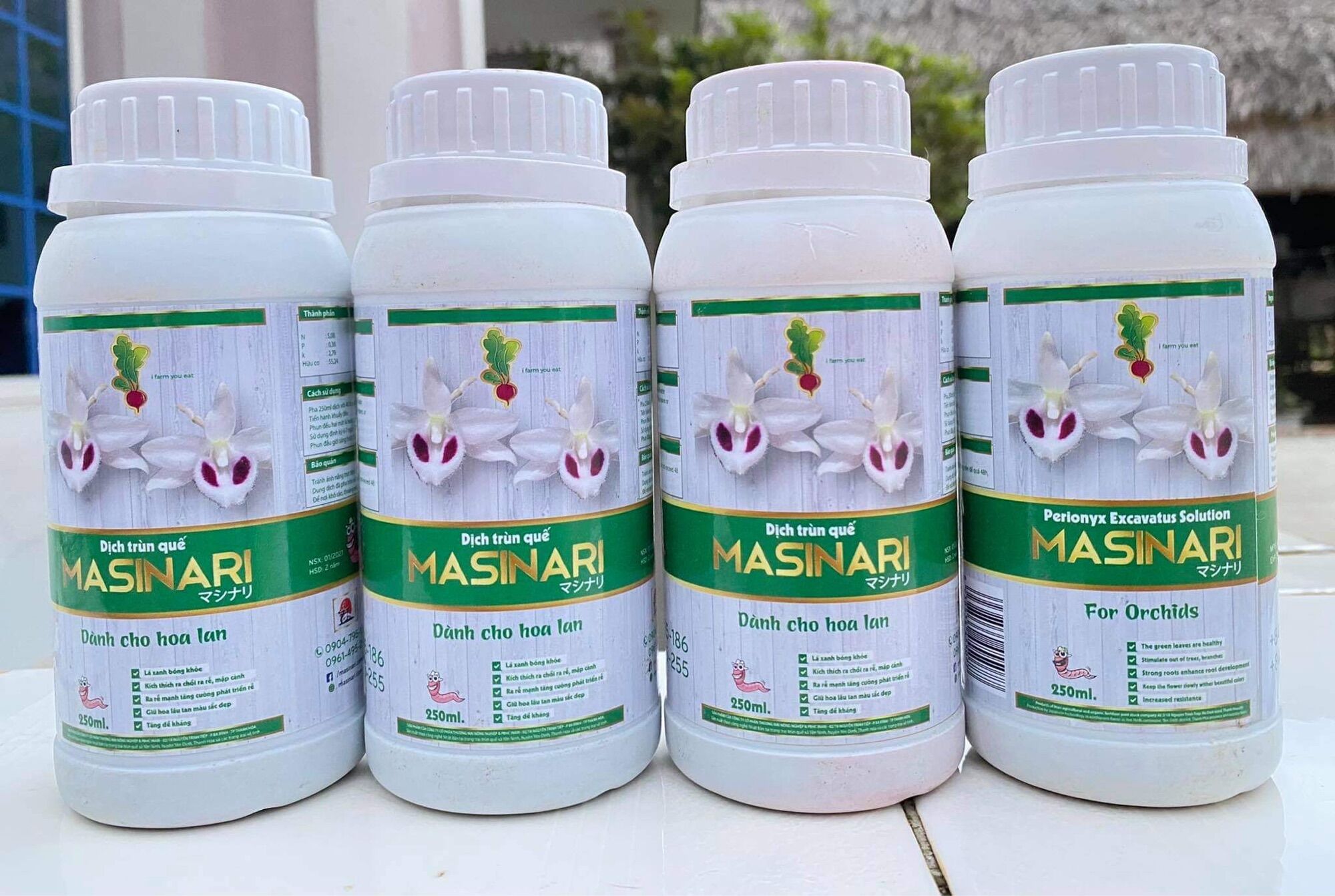 Dịch trùn quế masinari chai 250ml