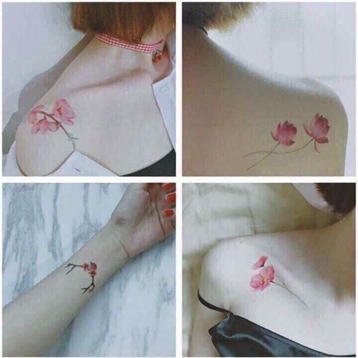 COMBO 30 TỜ HÌNH XĂM DÁN ( TỪ 80 - 120 HÌNH )